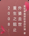 2008：重生之阻止外婆去世 封面