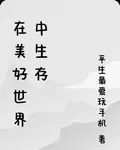在美好世界中生存 封面
