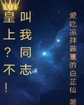 皇上？不！叫我同志 封面
