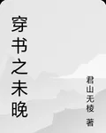 穿書之未晚 封面