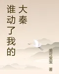 誰動了我的大秦 封面