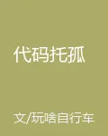 代碼託孤 封面