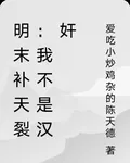 明末補天裂：我不是漢奸 封面