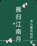 雁歸江南月 封面