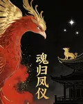 魂歸鳳儀 封面