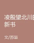 凌殷望北川的新書 封面