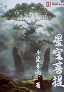 星空菩提 封面