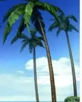 海賊：成爲大魔導師之旅 封面