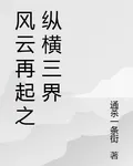風雲再起之縱橫三界 封面