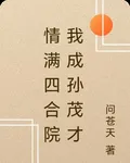 情滿四合院我成孫茂才 封面