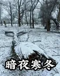 暗夜寒冬 封面