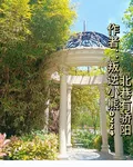 北巷有驕陽 封面
