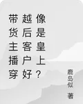 帶貨主播穿越後客戶好像是皇上？ 封面