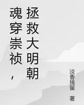 魂穿崇禎，拯救大明朝 封面