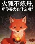火狐不煉丹？那你要火有什麼用？ 封面