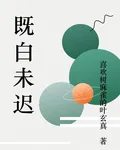 既白未遲 封面