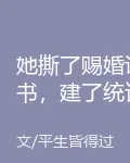 她撕了賜婚詔書，建了統計局 封面