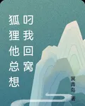 狐狸他總想叼我回窩 封面