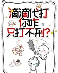 滴滴代打，你咋只打不刑？ 封面