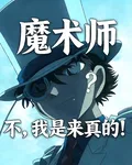 魔術師？不，我是來真的！ 封面
