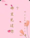 哪裏見過你？ 封面