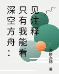 深空方舟：只有我能看見註釋 封面
