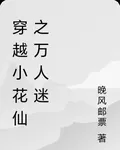穿越小花仙之萬人迷 封面