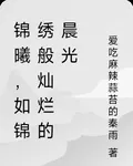 錦曦，如錦繡般燦爛的晨光 封面
