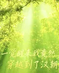 一覺醒來我竟然穿越到了漢朝 封面