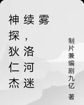 神探狄仁傑續，洛河迷霧 封面