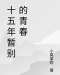十五年暫別的青春 封面