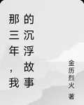 那三年，我的沉浮故事 封面