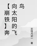 【崩鐵】奔向太陽的飛鳥 封面