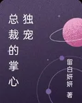 總裁的掌心獨寵 封面