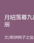 月昭落暮九星辰 封面