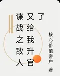 諜戰之敵人又給我升官了 封面