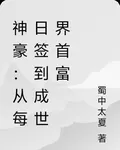 神豪：從每日簽到成世界首富 封面