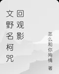 文野名柯咒回觀影 封面