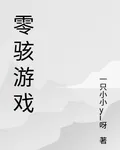 零駭遊戲 封面