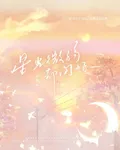 星光微弱卻閃爍 封面