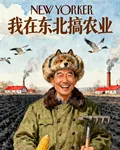 我在東北搞農業 封面