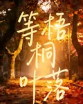 等梧桐葉落 封面