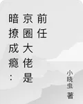 暗撩成癮：京圈大佬是前任 封面