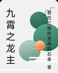 九霄之龍主 封面