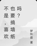 不是，喜歡也要搞牆紙嗎？ 封面
