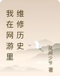 我在網遊裏維修歷史 封面
