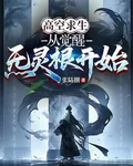 高空求生，從覺醒炁靈根開始 封面