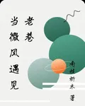 當微風遇見老巷 封面