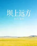 壩上遠方 封面