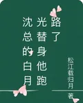 沈總的白月光替身他跑路了 封面